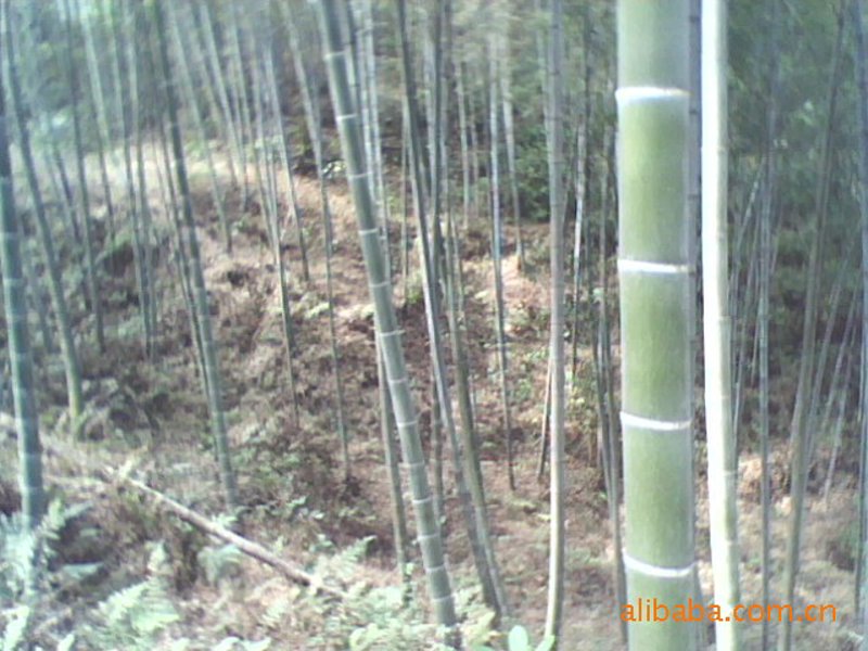 选择竹家具定制的四大要点